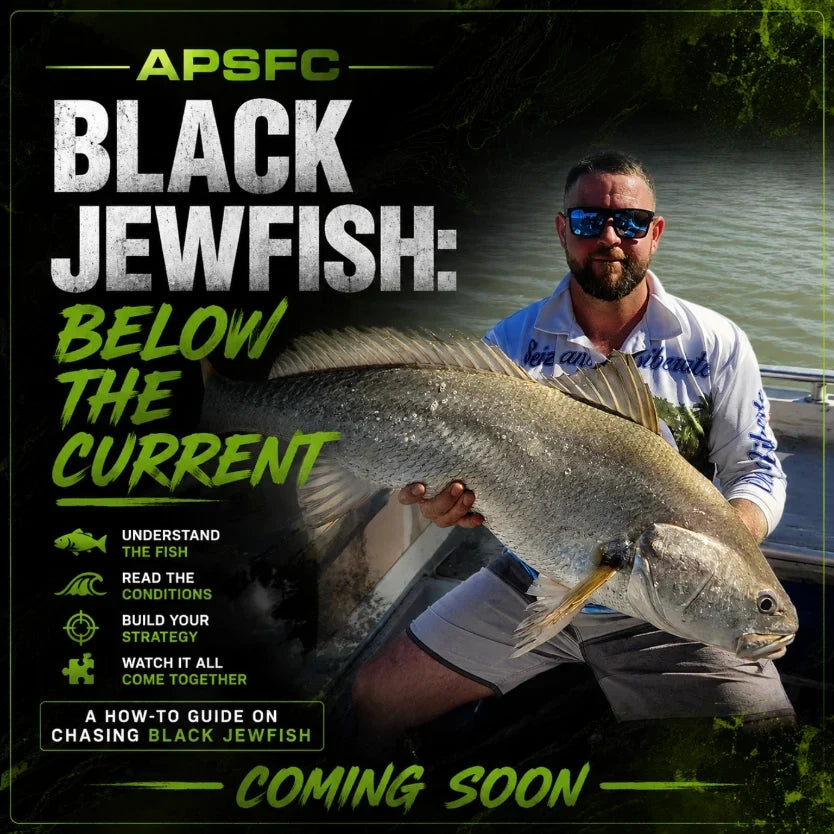 Black Jewfish: Below the Current